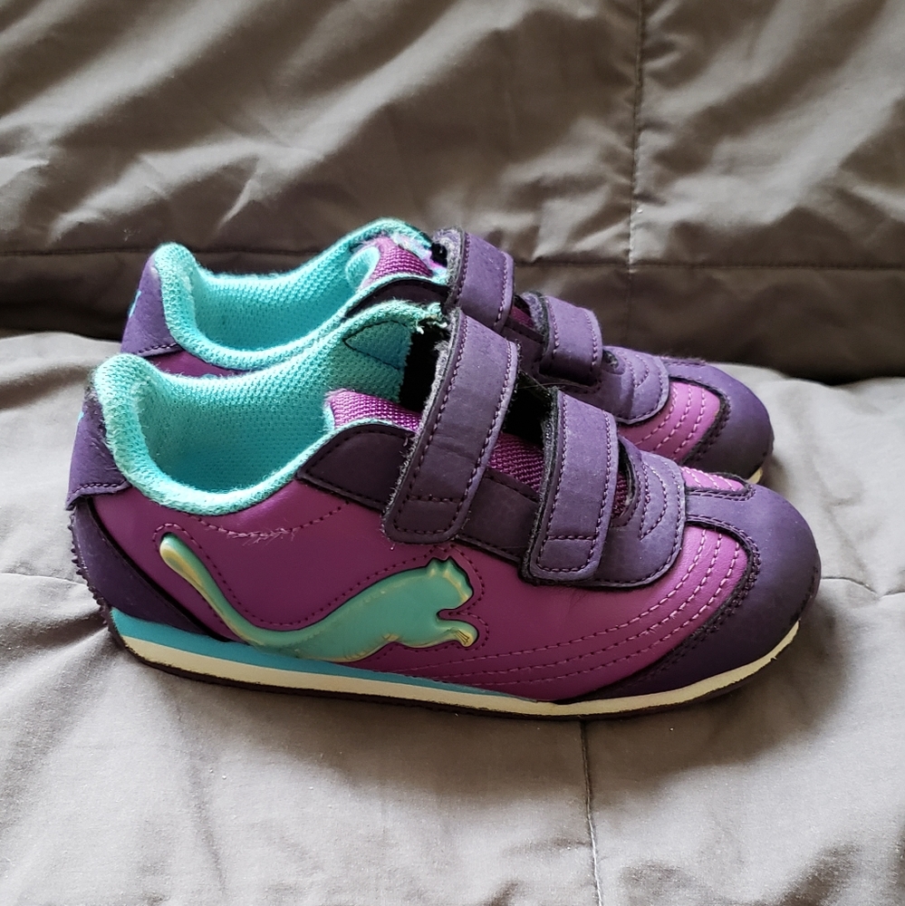 Puma